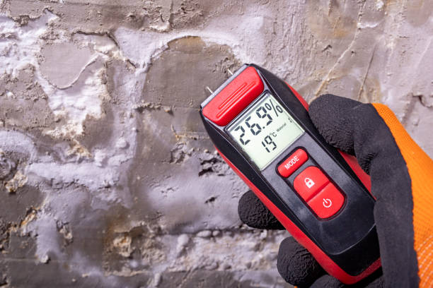 Best Emergency Mold Remediation in Ennis, TX