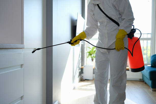 Best Localized Mold Remediation (e.g., coastal areas, humid climates) in Ennis, TX
